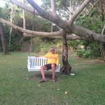 steve Johnstone - @stevej2 - Instagram