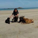 Steve Jost - @workingdogs - Instagram