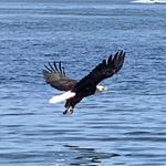 Steve Joyner - @stevejoyner22 - Instagram