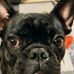 Steve Kaden - Facebook