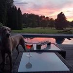 Steve Kascha - @stevekascha - Instagram