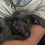 Steve Kasperski - @kasperskisteve - Instagram