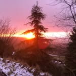 Steven Keeble - @keeblesteven - Instagram