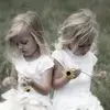 Steve Kehr - @stevekehr - TikTok