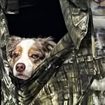 Steve Kellum - @steve_kellum - Instagram
