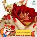 Steveknowles Kerber - @steveknowleskerber - Instagram