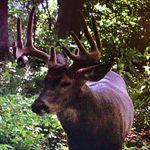 Steve Kidwell - @steve.kidwell.77736 - Instagram
