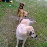 Steve Kidwell - @kidwell8556 - Instagram