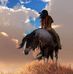 Steven Kisner - Facebook