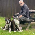 Steve Kitchen - @stevekitchenbtinternetcom - Instagram