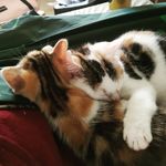 Steve Kitchen - @steven.kitchen.33 - Instagram