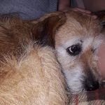 Steve Kitching - @211_kitching - Instagram