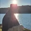 Steven Kitching - @steven.kitching - TikTok