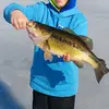 Steve knoll - @steve.knoll4 - TikTok