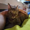 Steve Ko - @user6210830404045 - TikTok
