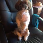 Steve Korte - @kortesteve - Instagram