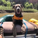 Steve Korte - @korte.steve - Instagram