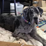 Steve Blumenkrantz - @steveblumenkrantz - Instagram