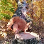 Steve Krantz - @dumbluck666 - Instagram