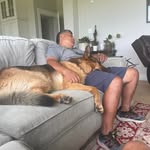 Steve Kratz - @dieseldog1776 - Instagram