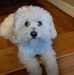 Steve Krohn - Facebook