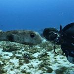 Steven Kundert - @scubasteve507 - Instagram