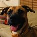 Steve Kurtz - Facebook