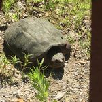 Steve Labelle - @steve.labelle.5817 - Instagram