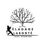 Steve Labonte - @steve_canada2018 - Instagram