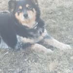 Steven LaBonte - @steven_labonte - Instagram