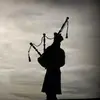 stevelaitres - @stevelaitres - TikTok