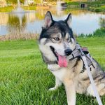 Steve Lamm - @jeeper_steve - Instagram