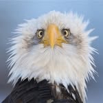 Steve Lapp - @lappsteve - Instagram