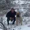 stevelapp535 - @stevelapp535 - TikTok