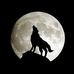 Steve LaRose - Facebook