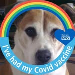 Steve Lashley - @lashley.steve - Instagram