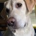 Steve Later - Facebook