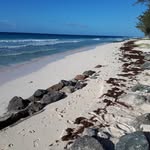 Steve Linklater - @stevelinklater - Instagram