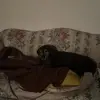 Steve Slater - @steve.slater0 - TikTok