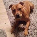 Steven Latimer - @steven.latimer.1 - Instagram