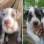 Stevie & Charlie Latour - @stevie_and_charlie - Instagram