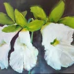 Suzanne LaTour  Stevens - @suzannelatourstevens1443 - Instagram