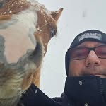 Steve Lavoie - @lavoie.steve - Instagram