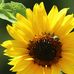 Steven Leber - Facebook