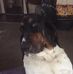 Steven Leftwich - Facebook