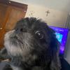 Steven Ray Leininger - @shhhtevenray - TikTok