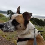 Steve Lenox - @steve.lenox - Instagram