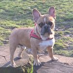 Steve van Lent - @stevevanlent - Instagram