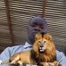 Steve Leo - Facebook