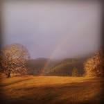 Steve Lesko - @steveoletsgo - Instagram